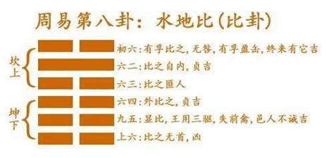 比卦財運|《易經》第8卦 : 水地比 (坎上下坤)，感情、事業、運勢